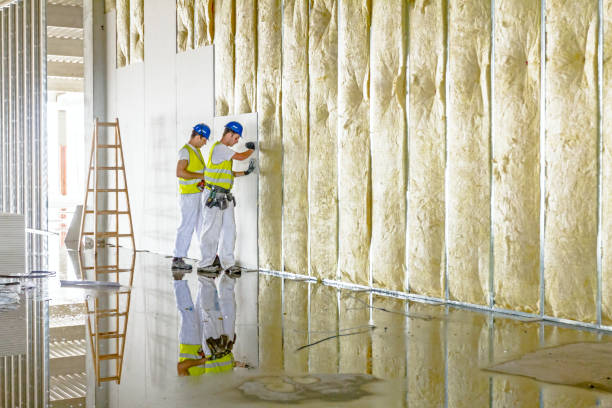 Best Insulation Removal Services  in Messiah College, PA